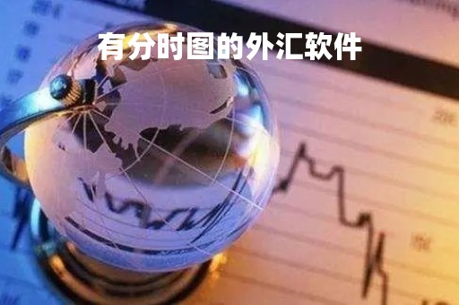 有分时图的外汇软件「外汇分时图技术深度解析」