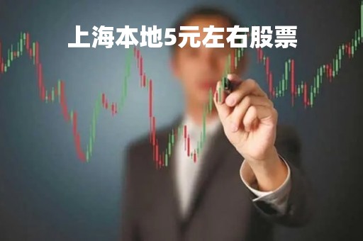 上海本地5元左右股票「上海低价股票」