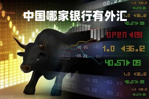 中国哪家银行有外汇「中国哪些银行有外汇业务」