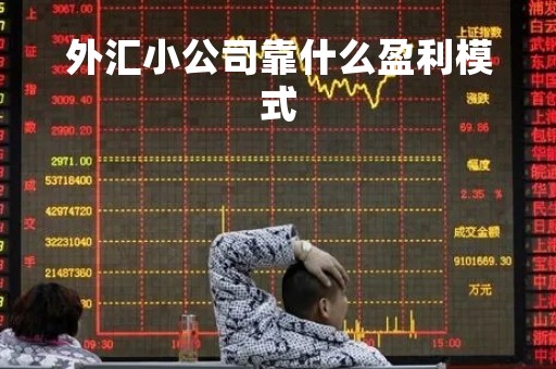 外汇小公司靠什么盈利模式「外汇公司怎么操作」