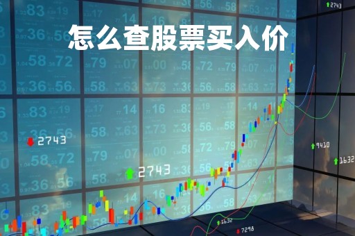 怎么查股票买入价「怎么看股票买入的价格」