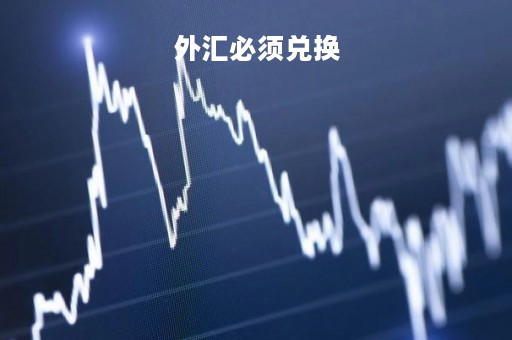 外汇必须兑换「兑换外汇必须去银行吗」