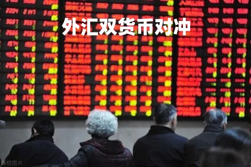 外汇双货币对冲「外汇双货币对冲是什么」