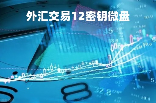 外汇交易12密钥微盘「外汇交易解锁」