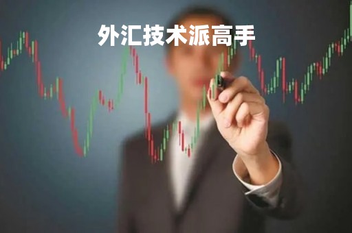 外汇技术派高手「外汇技术视频教程」