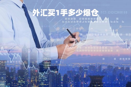 外汇买1手多少爆仓「1手外汇是多少钱」
