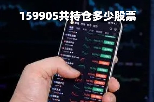 159905共持仓多少股票「159905持仓明细」