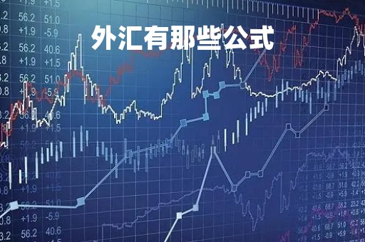 外汇有那些公式「外汇计算公式是什么」