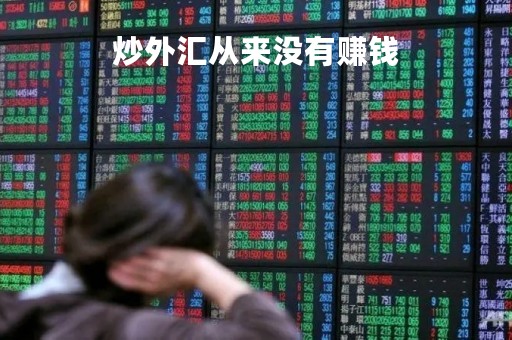 炒外汇从来没有赚钱「炒外汇有赚到钱的吗」