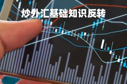 炒外汇基础知识反转「炒外汇赚钱的原理」