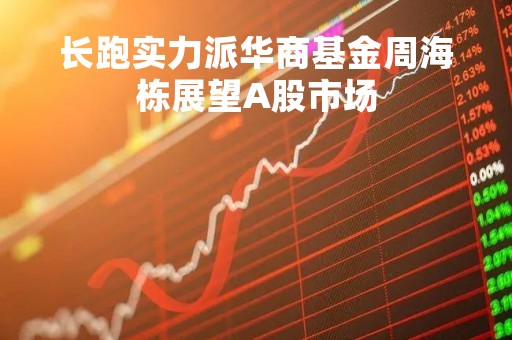 长跑实力派华商基金周海栋展望A股市场