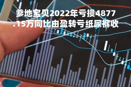 爹地宝贝2022年亏损4877.15万同比由盈转亏纸尿裤收入减少