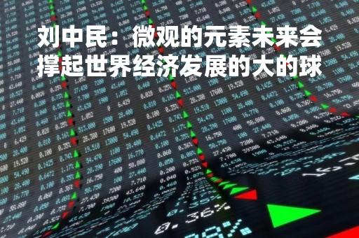 刘中民：微观的元素未来会撑起世界经济发展的大的球，会撬动整个地球