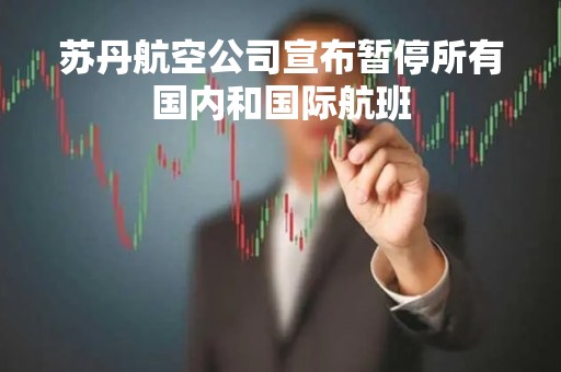 苏丹航空公司宣布暂停所有国内和国际航班