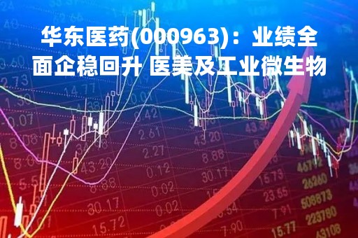华东医药(000963):业绩全面企稳回升 医美及工业微生物表现亮眼