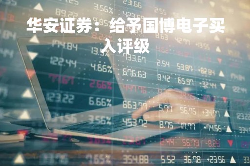 华安证券：给予国博电子买入评级