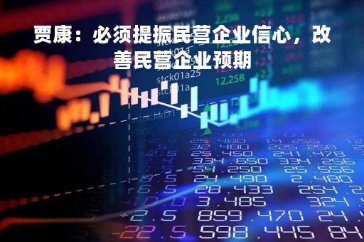 贾康：必须提振民营企业信心，改善民营企业预期