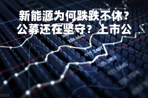 新能源为何跌跌不休？公募还在坚守？上市公司一季报曝出实锤…