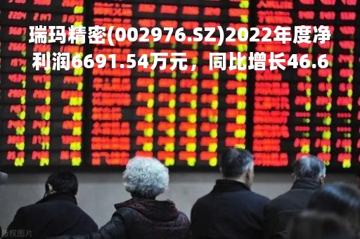瑞玛精密(002976.SZ)2022年度净利润6691.54万元，同比增长46.66%