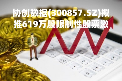 协创数据(300857.SZ)拟推619万股限制性股票激励计划
