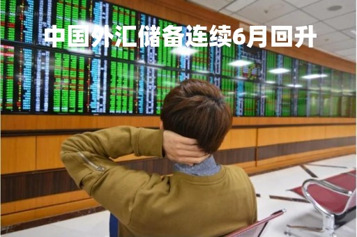中国外汇储备连续6月回升「中国外汇储备连续两个月增长 7月增至311795亿美元」