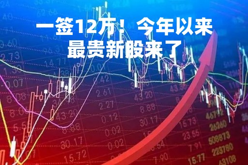 一签12万！今年以来最贵新股来了