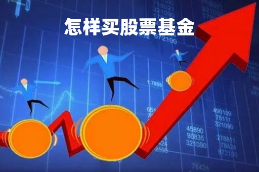 怎样买股票基金「如何购买股票基金新手入门」