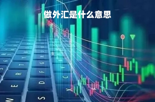 做外汇是什么意思「外面说的做外汇是做什么的」