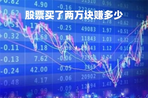 股票买了两万块赚多少「股票买2万元,一共多少手续费」