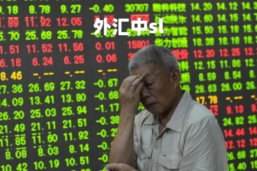 外汇中sl「外汇中预付款比率是什么意思」