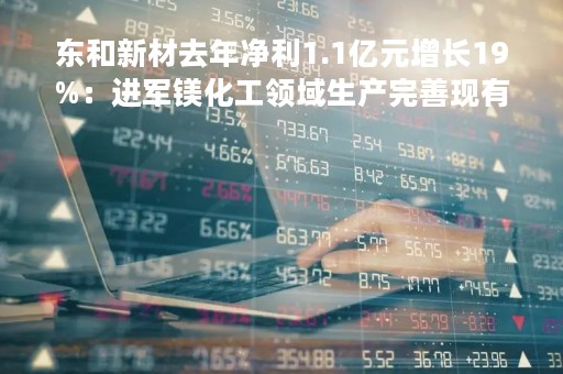 东和新材去年净利1.1亿元增长19%：进军镁化工领域生产完善现有菱镁生产产业链条