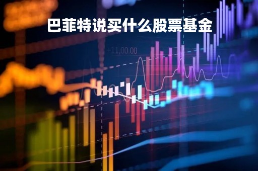 巴菲特说买什么股票基金「巴菲特推荐买基金」