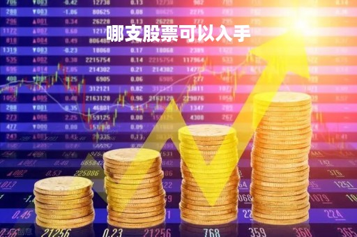 哪支股票可以入手「什么股票值得入手」