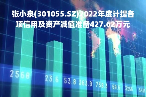 张小泉(301055.SZ)2022年度计提各项信用及资产减值准备427.62万元