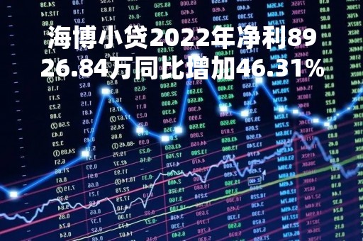 海博小贷2022年净利8926.84万同比增加46.31%客户违约罚没购房保证金