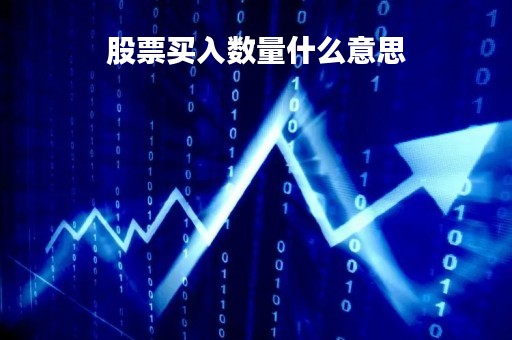 股票买入数量什么意思「股票买入数量等于卖出数量」