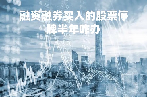 融资融券买入的股票停牌半年咋办「股票停牌期间融资融券减少是利空吗」