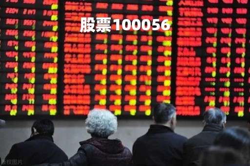 股票100056「股票100元能赚多少」