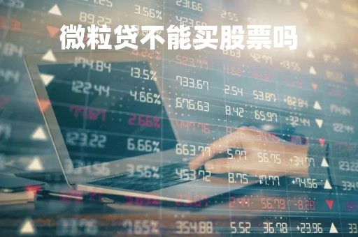 微粒贷不能买股票吗「用微粒贷买股票会被发现吗」