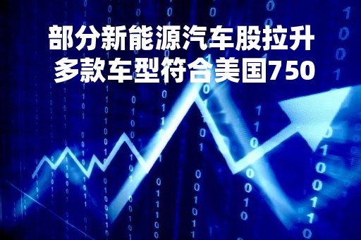 部分新能源汽车股拉升 多款车型符合美国7500美元税收抵免政策资格