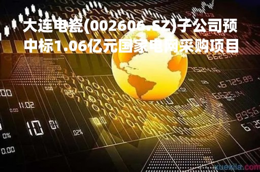大连电瓷(002606.SZ)子公司预中标1.06亿元国家电网采购项目