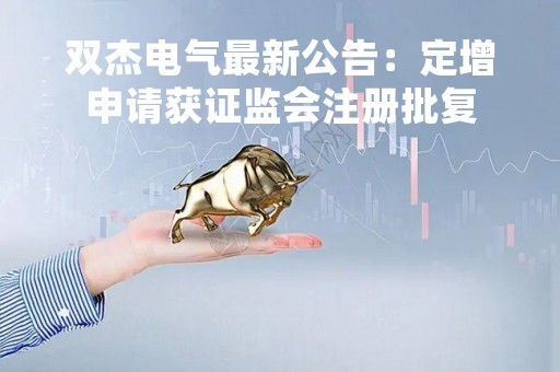 双杰电气最新公告：定增申请获证监会注册批复