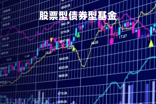 股票型债券型基金「股票型和债券型基金」