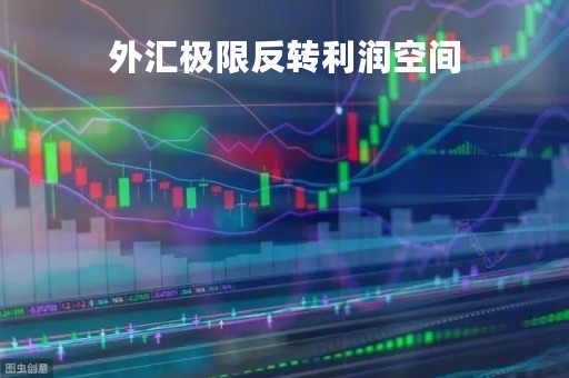 外汇极限反转利润空间「外汇极限反转做单方法」