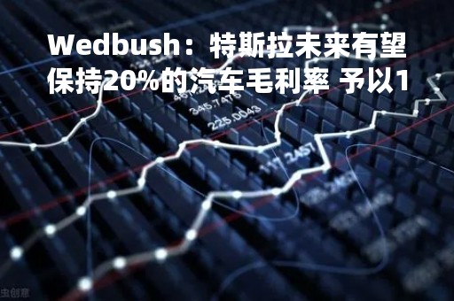 Wedbush：特斯拉未来有望保持20%的汽车毛利率 予以12个月目标价225美元
