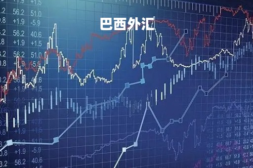 巴西外汇「巴西外汇牌价美元新浪」