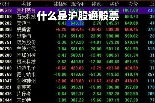 什么是沪股通股票 什么是沪股通股票