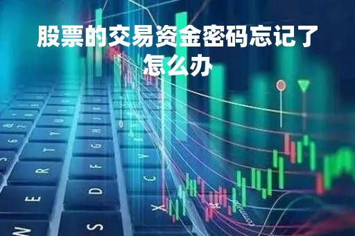 股票的交易资金密码忘记了怎么办「股票里的资金密码忘记了怎么办」