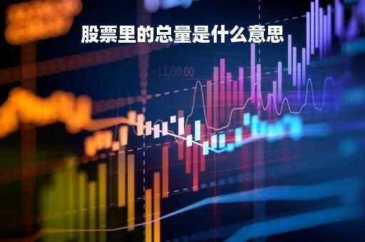 股票里的总量是什么意思「股票 总量」