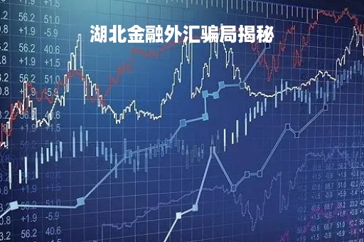 湖北金融外汇骗局揭秘「湖北金融外汇骗局揭秘图片」